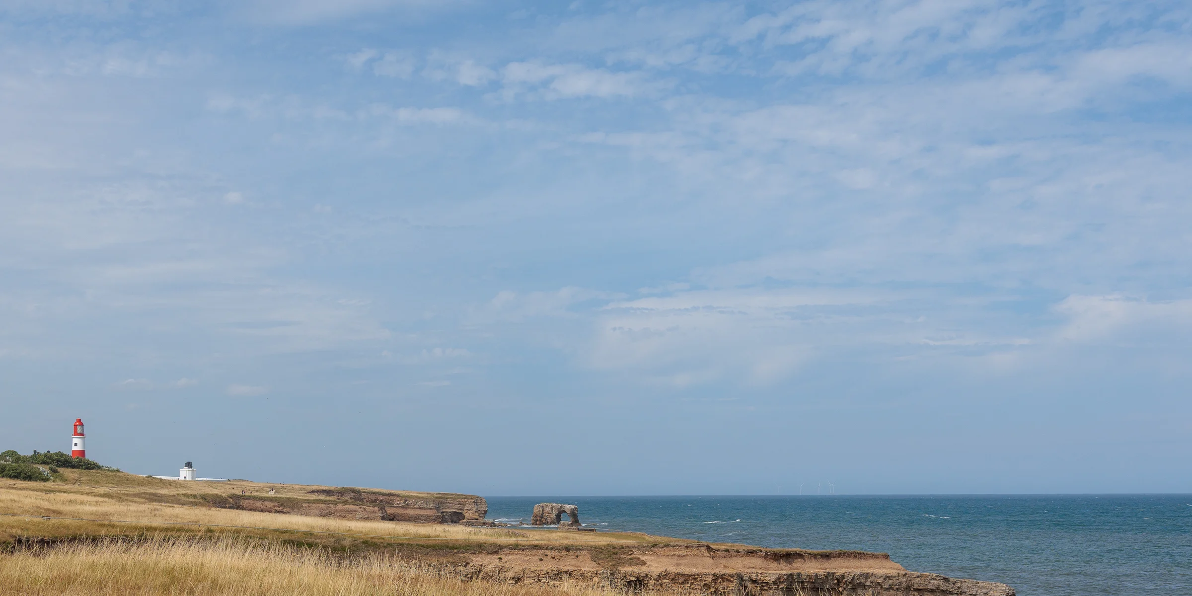 Souter Lighthouse and the Leas