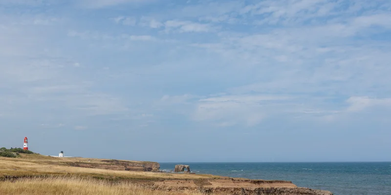 Souter Lighthouse and the Leas
